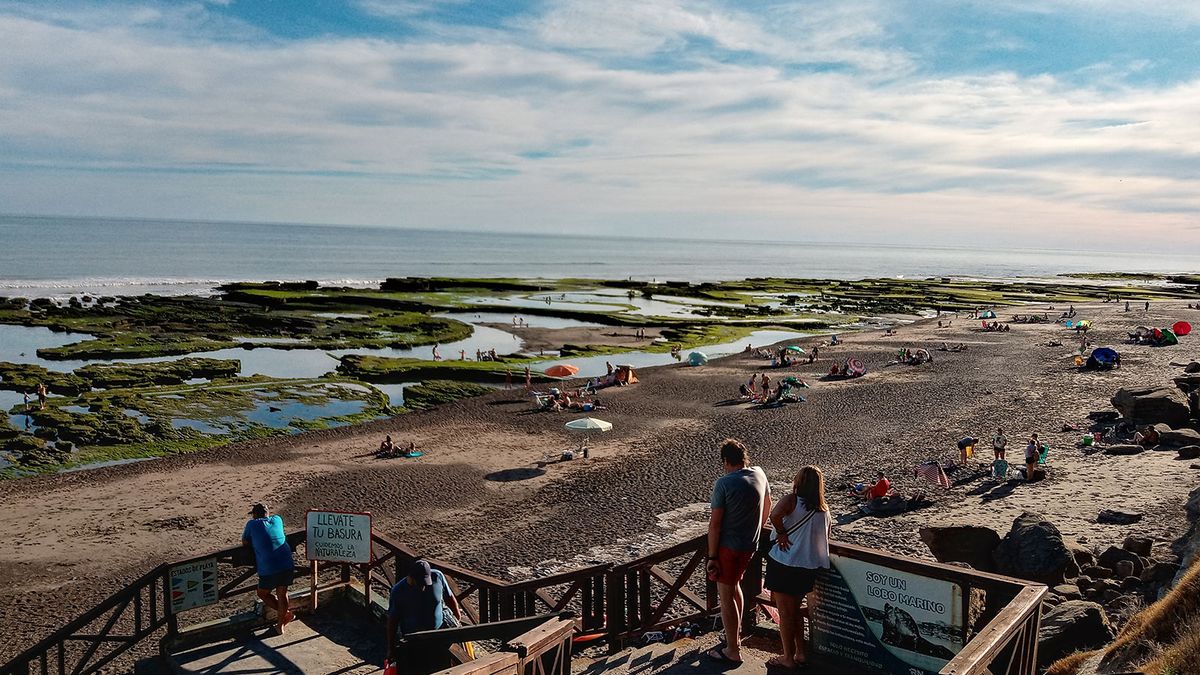 Entre acantilados y fauna marina, este pueblo patagónico guarda una postal única