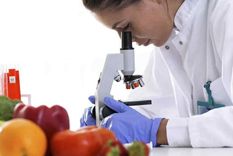 argentina y mendoza: la competitividad no evita el hambre