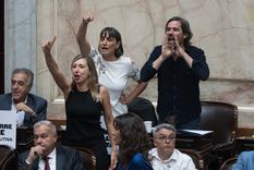Diputados convocó a una audiencia en el Congreso por los despidos en FATE.