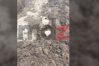 MDZol | Portada cráneo.jpg