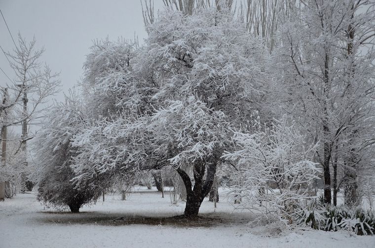 Una galería impresionante: así amaneció hoy Malargüe.