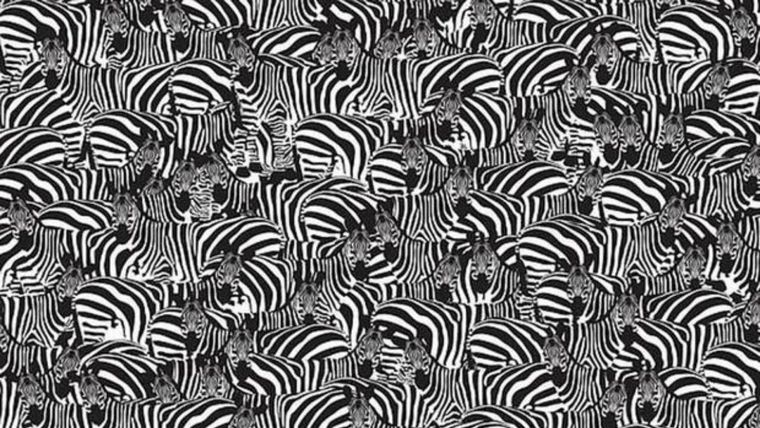 Este acertijo visual ayuda a mejorar la visión Foto: Archivo MDZ