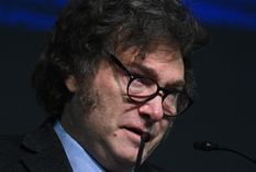 El presdiente Javier Milei señaló la eliminación de los puts como uno de los pasos para lograr la liberación cambiaria. Foto: EFE