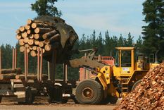 La suba de costos de producción y los bajos precios están afectando a la industria forestal, un sector clave en provincias como Corrientes y Misiones, que ahora está en crisis.&nbsp;