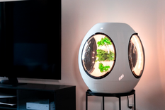 El huerto o minijardín se encuentra dentro de una cápsula que se configura para que una niebla ultrafina mezcle el agua con los nutrientes y lo aplique directamente a las raíces de las plantas. Foto: instagram.com/plantaform/