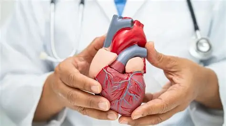 La gran mayoría de los eventos cardiovasculares pueden prevenirse mediante acciones sencillas, conscientes y perseverantes.