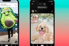 Ante el éxito de BeReal, TikTok Now aparece para dar pelea y volver a ganar seguidores. Foto: TikTok