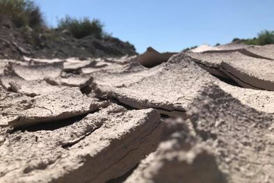 MDZol | Foto: Gabriel Conte / MDZ