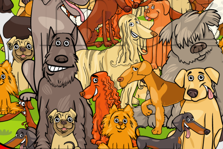 ACERTIJO VISUAL ACERTIJO VISUAL, RETO VISUAL, CABALLO Foto: MDZ ONLINE