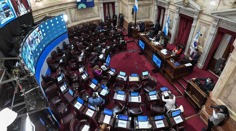 Foto: Prensa Senado