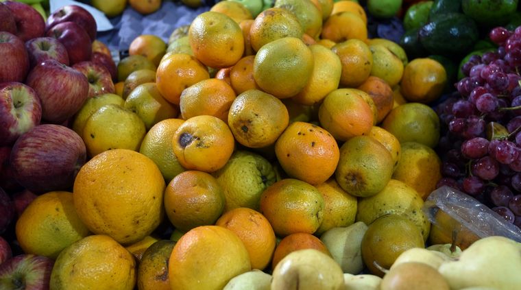 Foto: ALF PONCE MERCADO / MDZ