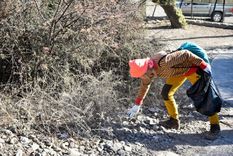 Limpieza del Cerro de la Gloria Foto: Gobierno.