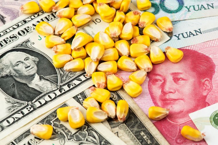El dólar maíz suma divisas al BCRA Foto: Shutterstock