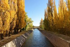 Del desierto al oasis: el agua que dio vida a Mendoza. Foto: Gobierno de Mendoza