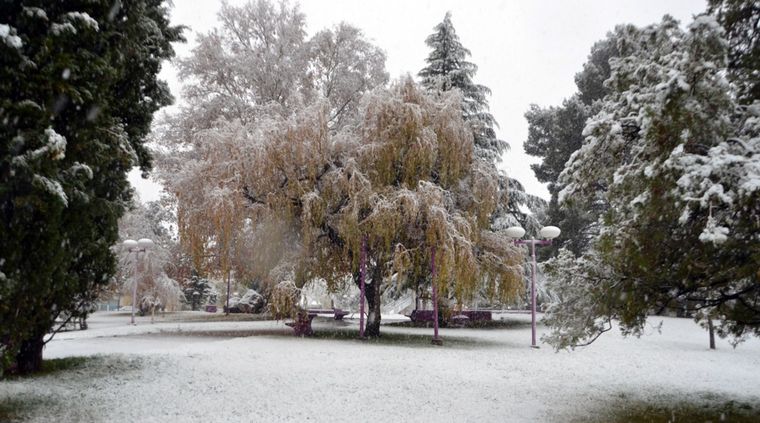 En Malargüe se fue la nieve, pero llegó el frío más extremo. Foto: Gentileza Municipalidad Malargue