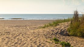 Las pasarelas del pueblo atraviesan médanos antes de abrirse al océano. Las pasarelas del pueblo atraviesan médanos antes de abrirse al océano.
