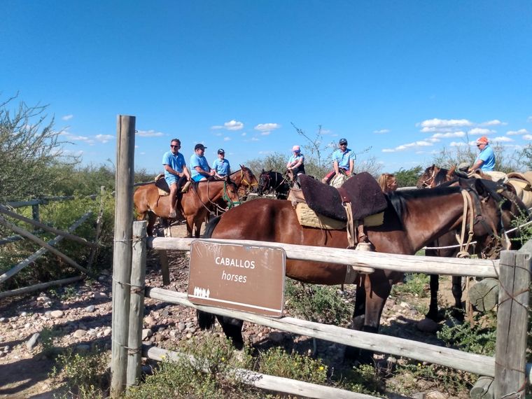 Los turistas extranjeros buscan vivir experiencias en contacto con la naturaleza Foto: Turismo Mendoza