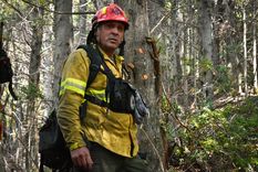 El Gobierno decretó la emergencia ígnea ante los incendios forestales en la Patagonia.