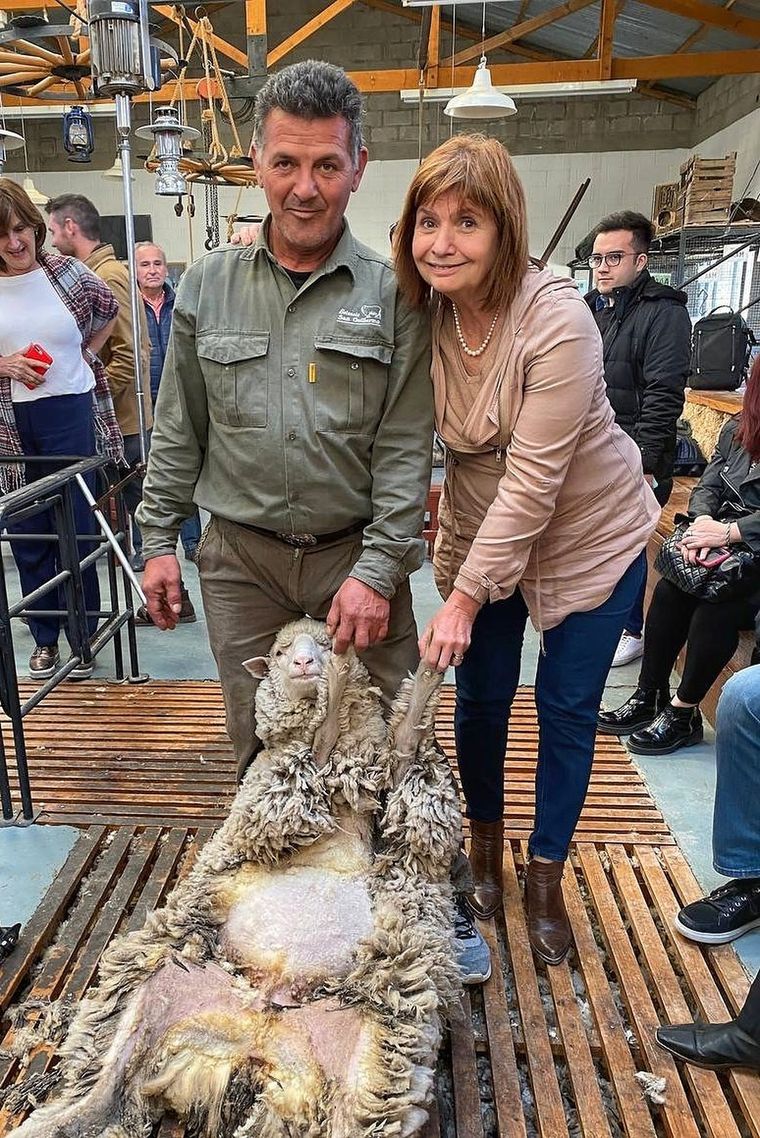Patricia Bullrich se fotografió esquilando una oveja y recibió fuertes críticas en redes sociales.