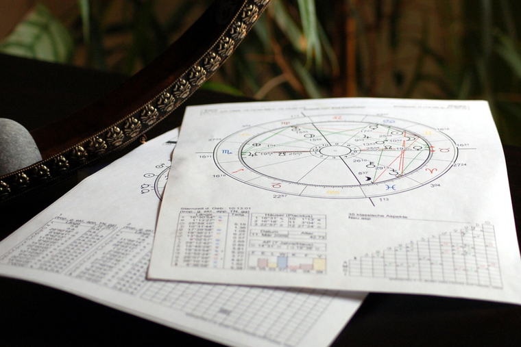 Conoce el verdadero sentido para la astrología de ver una lagartija en tu hogar. Foto: Pixabay - pixabay.com