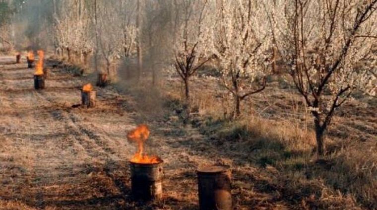 Foto: El Cuco Digital