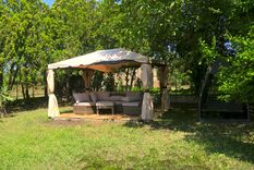 Adiós al gazebo tradicional con esta nueva tendencia de verano. Foto: Shutterstock