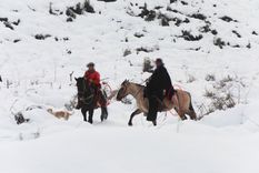 Los sujetos que llevaban restos de un guanaco Foto: Prensa Gobierno Mendoza Los sujetos que llevaban restos de un guanaco Foto: Prensa Gobierno Mendoza
