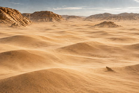 El desierto de Egipto estuvo cubierto por un antiguo mar donde convivieron diferentes especies de tiburones.