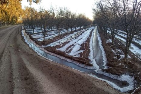El avance de aire frío traerá heladas en el interior durante el fin de semana largo El avance de aire frío traerá heladas en el interior durante el fin de semana largo