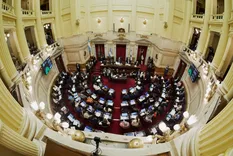 El Gobierno nacional envió al Senado dos proyectos clave: una reforma a la Ley de Salud Mental y otra a la Ley de Emergencia en Discapacidad.