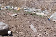 Las botellas se llevan el primer puesto en cuanto a tipo de basura acumulada en Potrerillos. Foto: Pablo Icardi