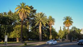 Ya comienzan a sentirse las temperaturas veraniegas en Mendoza. Ya comienzan a sentirse las temperaturas veraniegas en Mendoza.