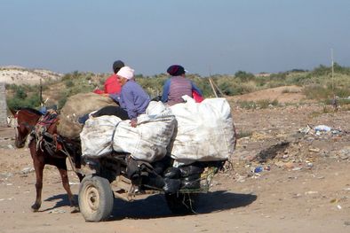 MDZol | Foto: Ulises Naranjo.