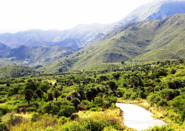 Papagayos es uno de los pueblos más lindos de San Luis. Papagayos es uno de los pueblos más lindos de San Luis.