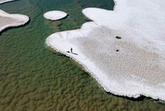 Estromatolitos en el fondo de una laguna en la puna de Atacama en Argentina. Foto: BRIAN HYNEK