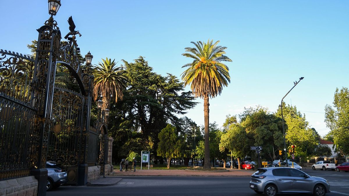 Tras la nieve y la lluvia, el "calor" ya tiene fecha de regreso en Mendoza