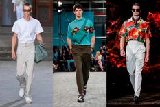 ¿Cuál es tu favorito?