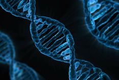El estudio se basa en el ADN.
