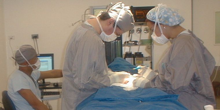 profesionales de distinas especialidades amenazan con renunciar Foto: web