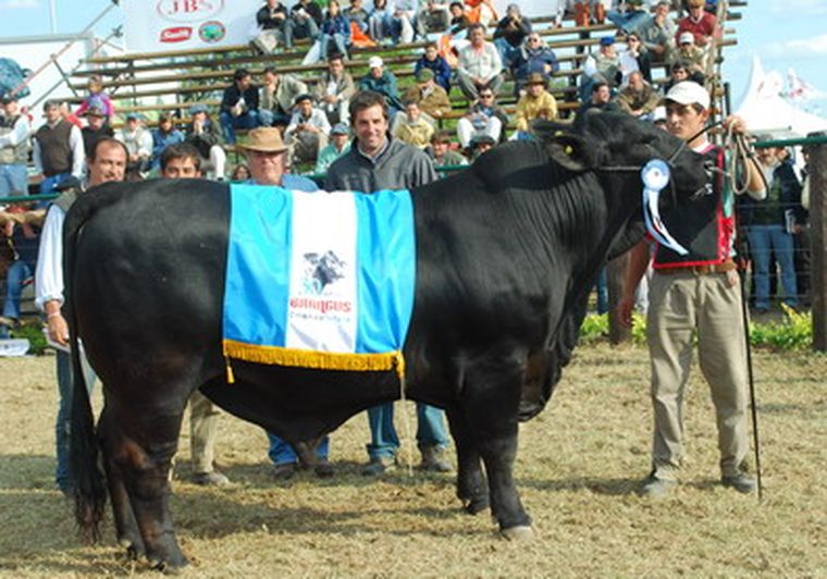 El mejor cotizado de la Exposición Rural. Foto: web