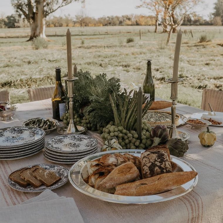 Un almuerzo en el campo.