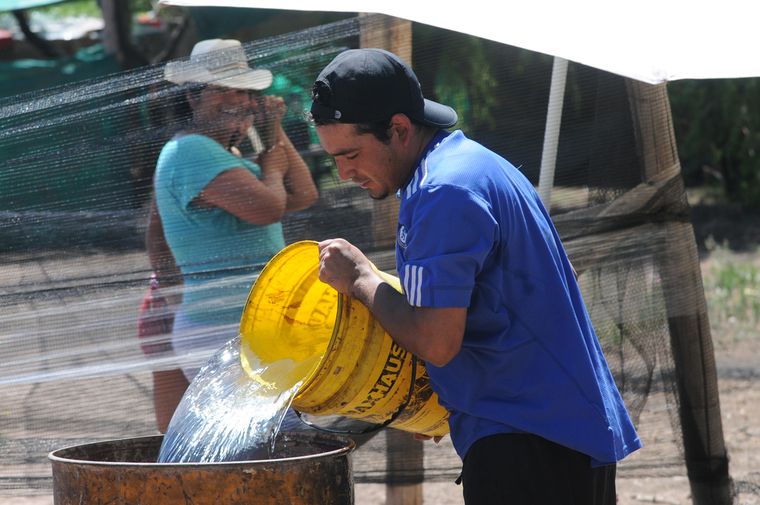 Foto: Nacho Gaffuri / MDZ