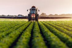 Foto: shutterstock.com Foto: shutterstock.com