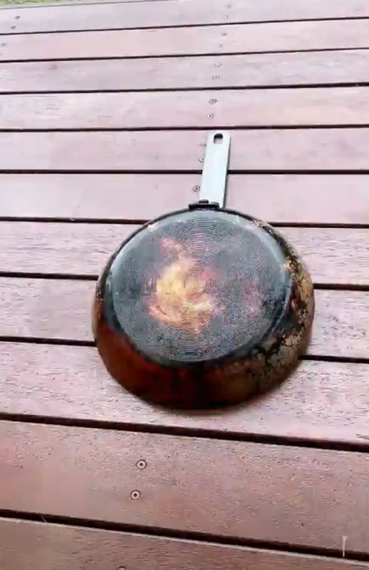 Video viral Foto: TikTok