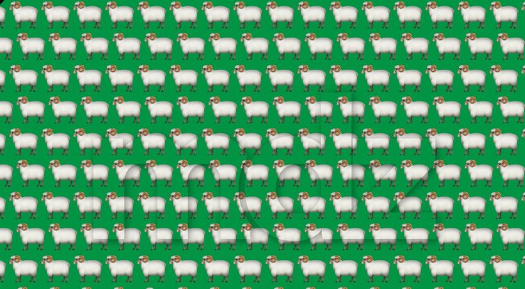 Un juego mínimo habilitó un encuentro. Entre pantallas y apuros, regaló lo más escaso de la vida moderna: tiempo compartido.