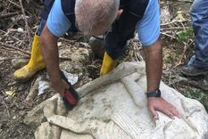 El hallazgo en Italia aporta información sobre las prácticas funerarias y el estatus social en la antigua Roma.