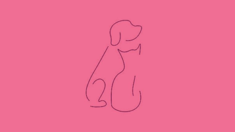 Test de personalidad