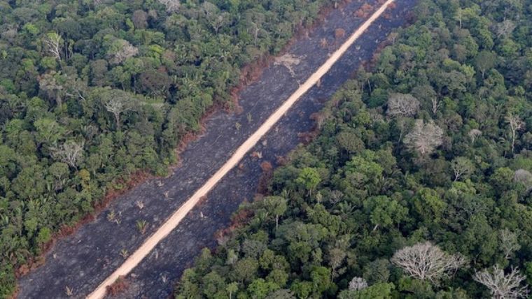 El gobierno de Bolsonaro aboga por el desarrollo en áreas protegidas de la Amazonía. Foto: REUTERS
