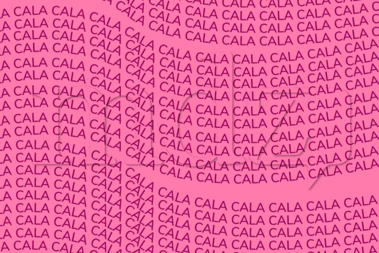 Acertijo visual Acertijo visual, Reto visual, palabra Foto: MDZ Online