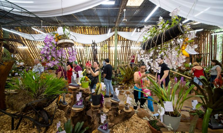 El intendente de Montecarlo, Julio Barreto, resaltó que el éxito de la fiesta se debe al trabajo en conjunto. El intendente de Montecarlo, Julio Barreto, resaltó que el éxito de la fiesta se debe al trabajo en conjunto.